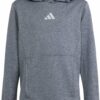 ADIDAS - J HEA HOODIE LEINME/REFSIL