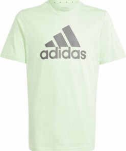 ADIDAS - U BL TEE SEGRSP/CHACOA