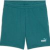 PUMA - ESS 2 COLOR No. 1 Logo Shorts TR B EMERALD ICE